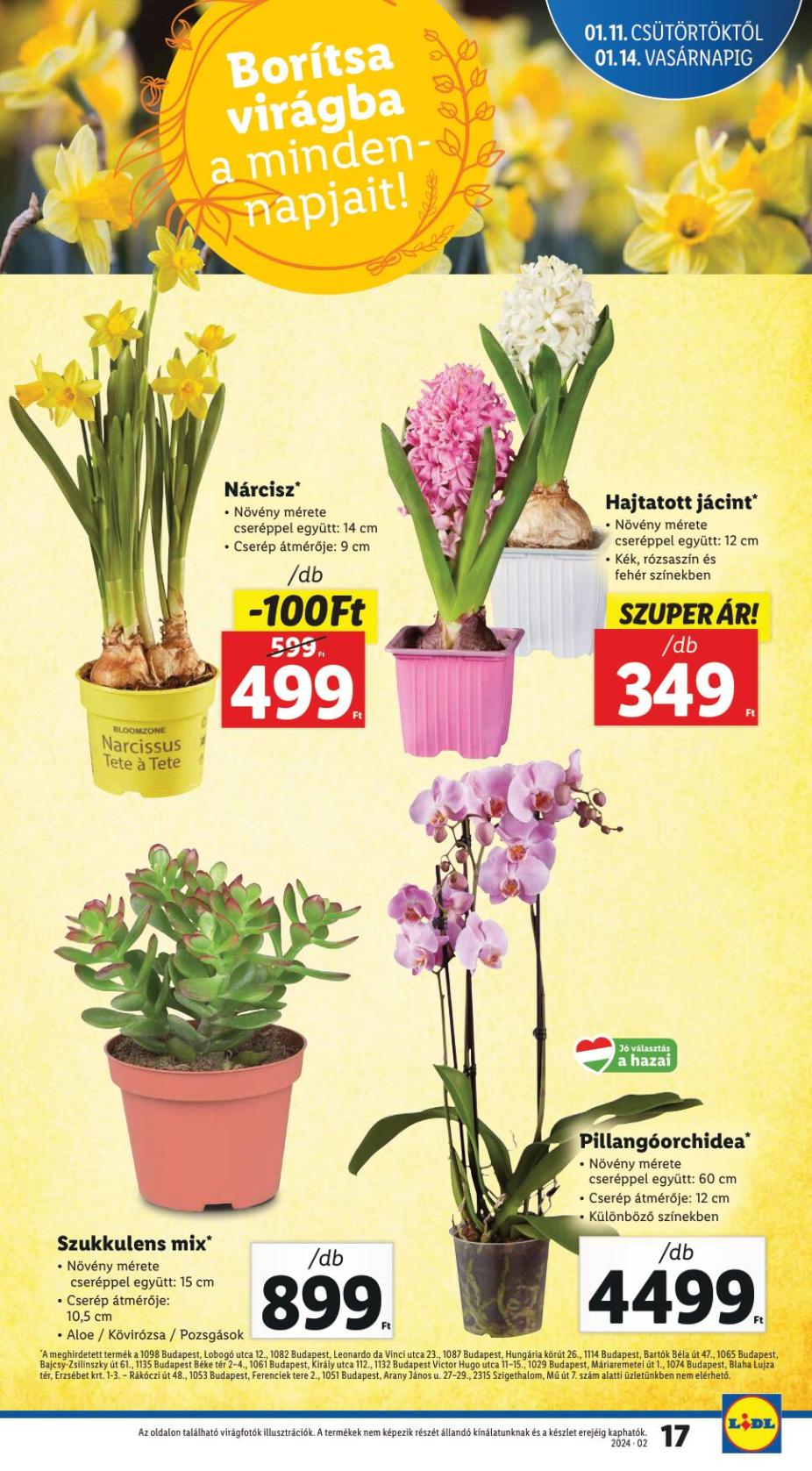 lidl1117-17