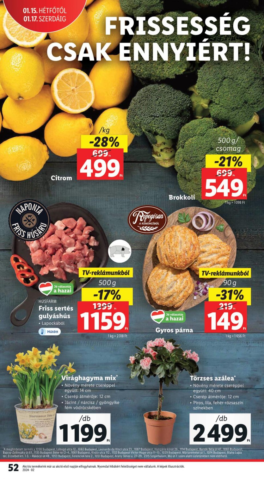lidl1117-52
