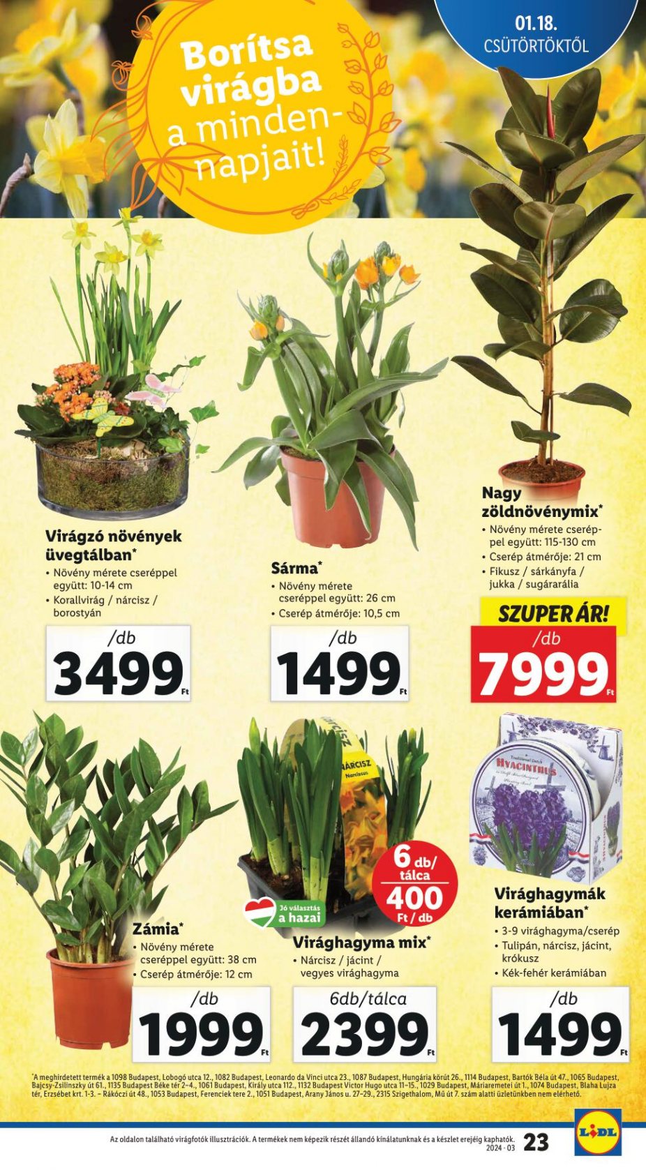 lidl1824-23