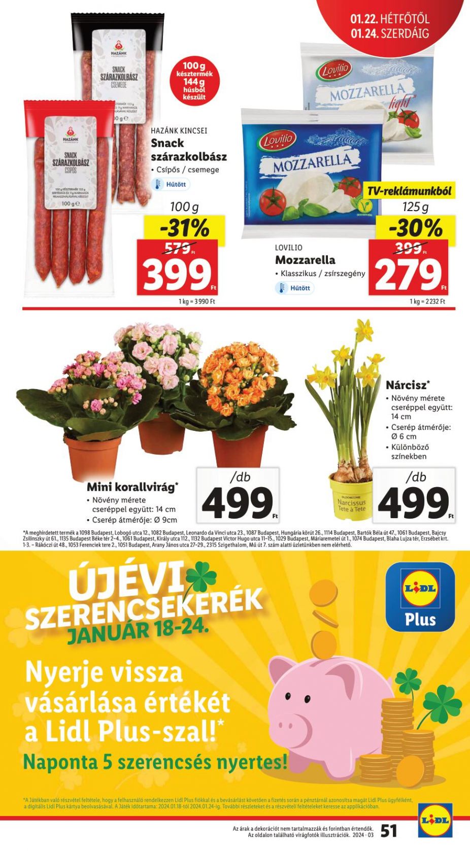 lidl1824-51