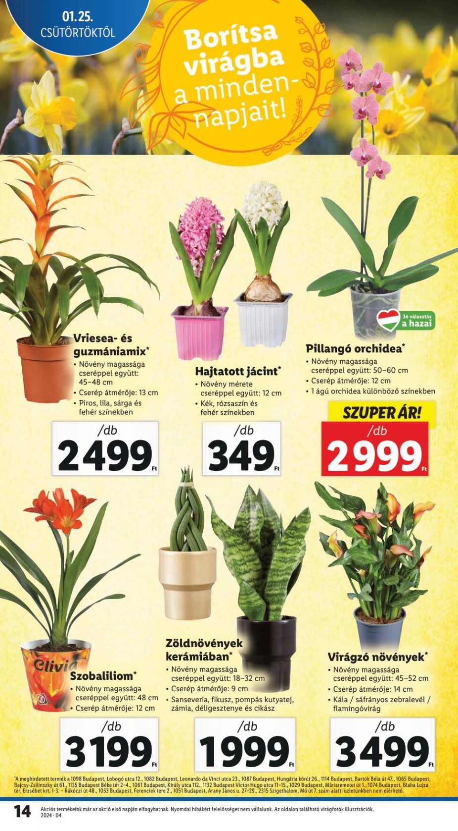 lidl2531-14