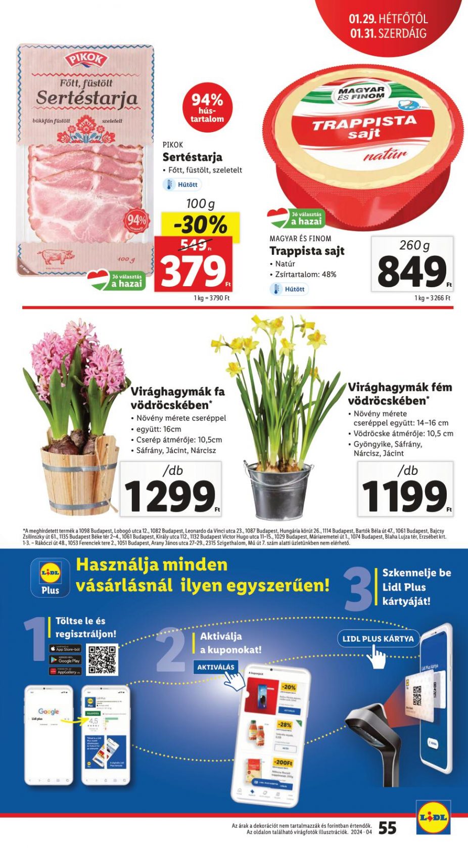 lidl2531-55