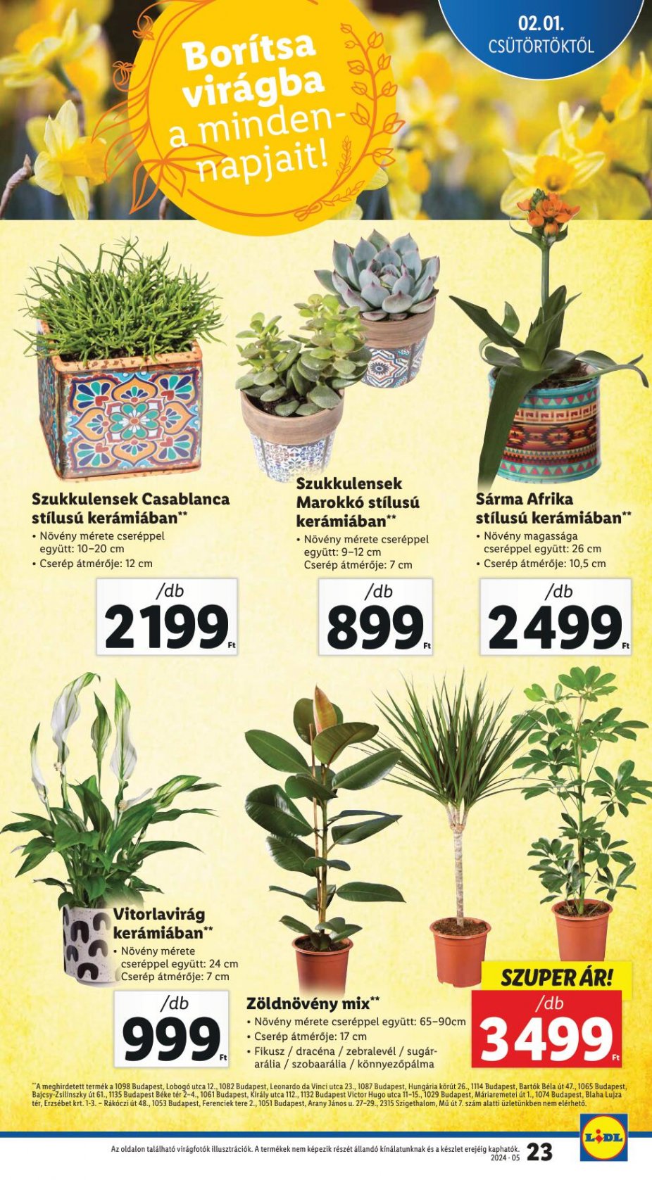 lidl0201-23