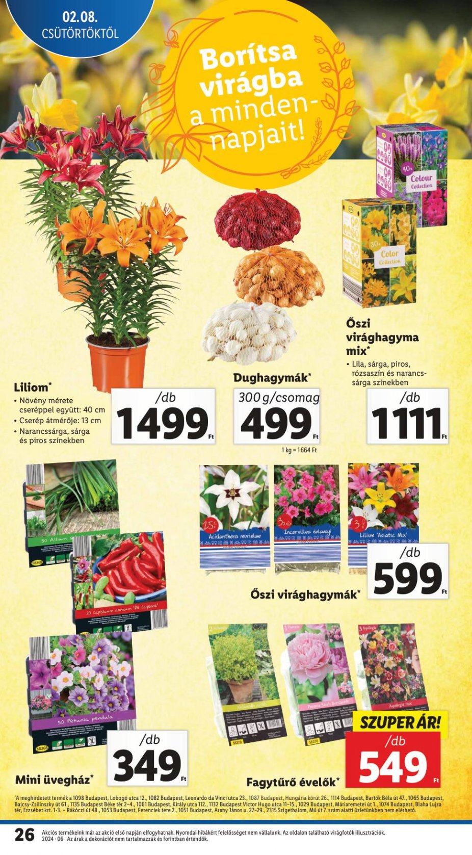 lidl8-14-26