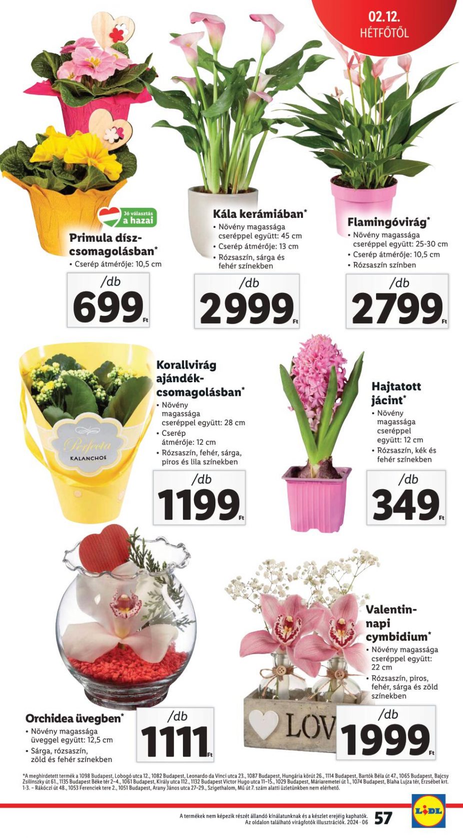 lidl8-14-57