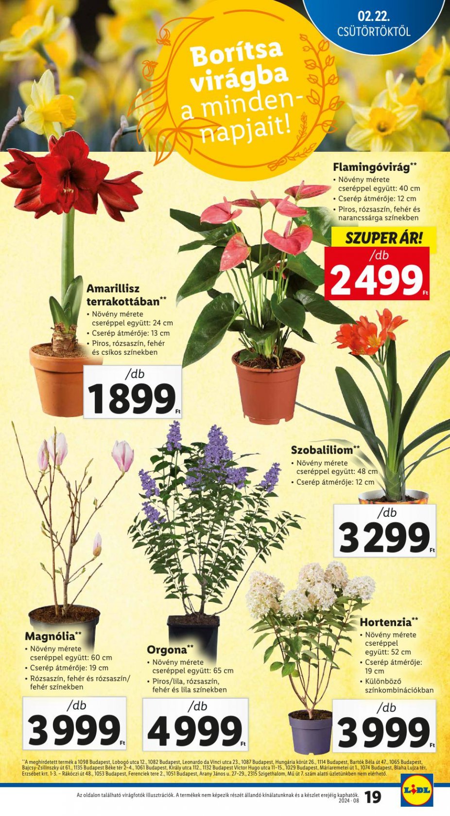 lidl2228-19