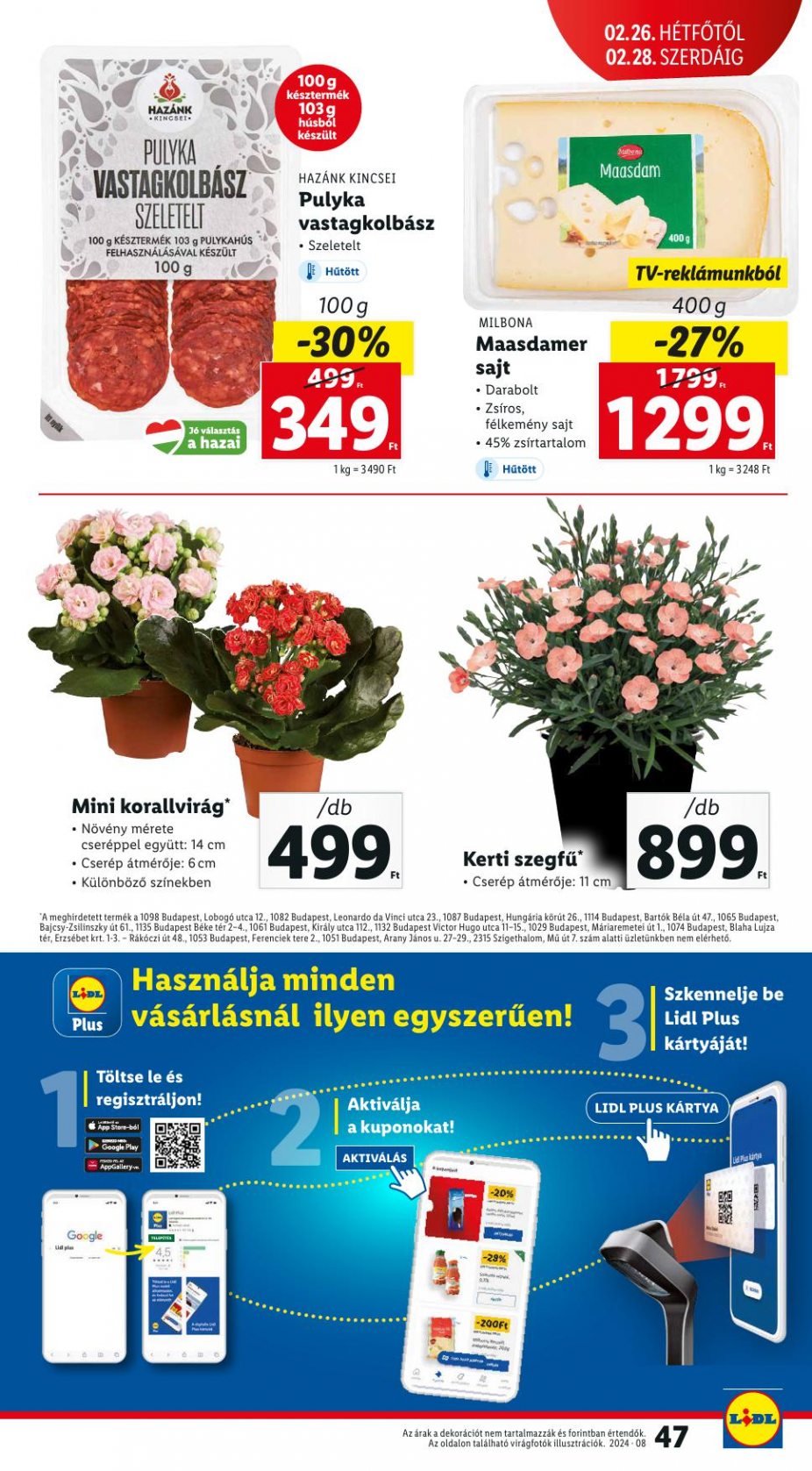 lidl2228-47