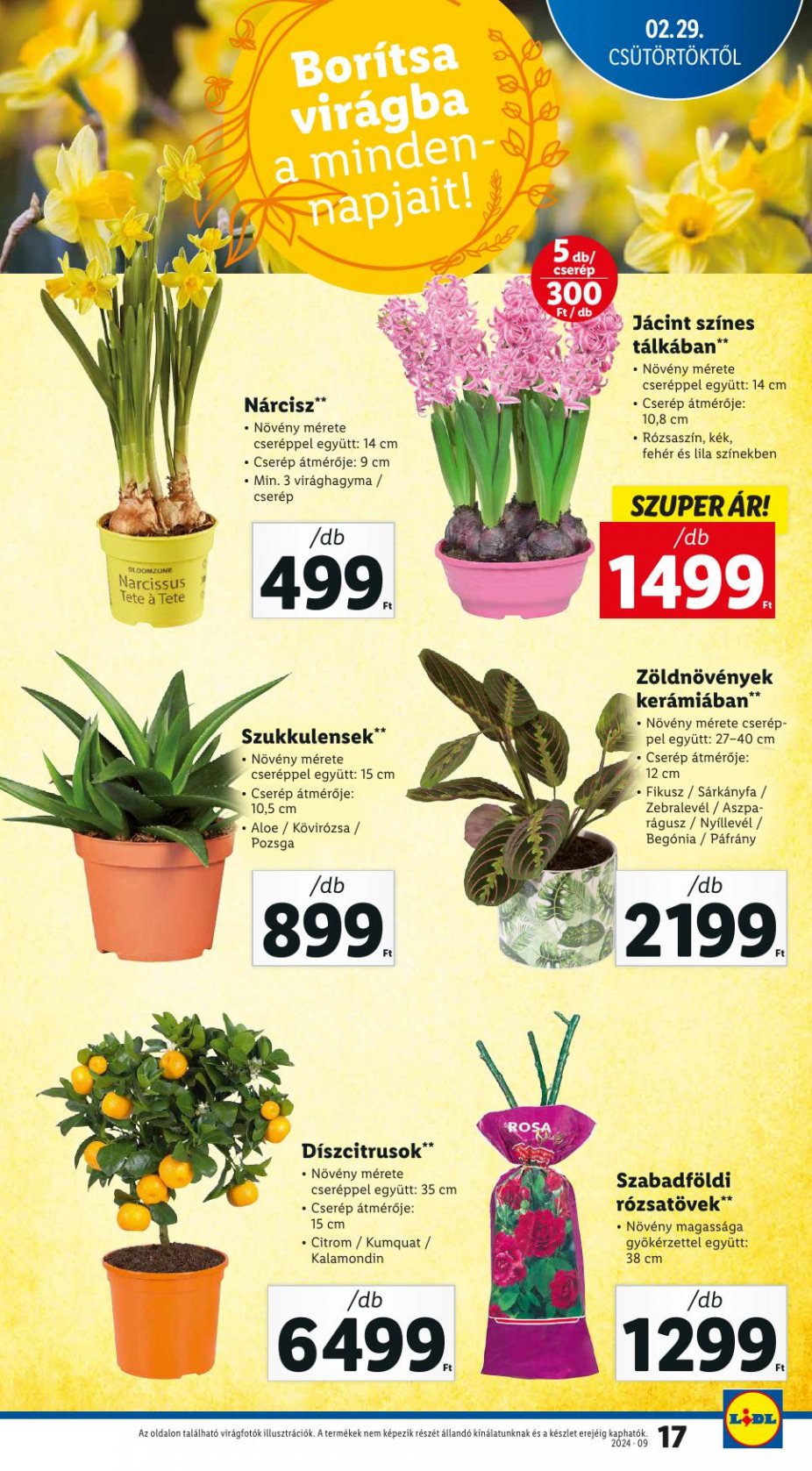 lidl2903-17