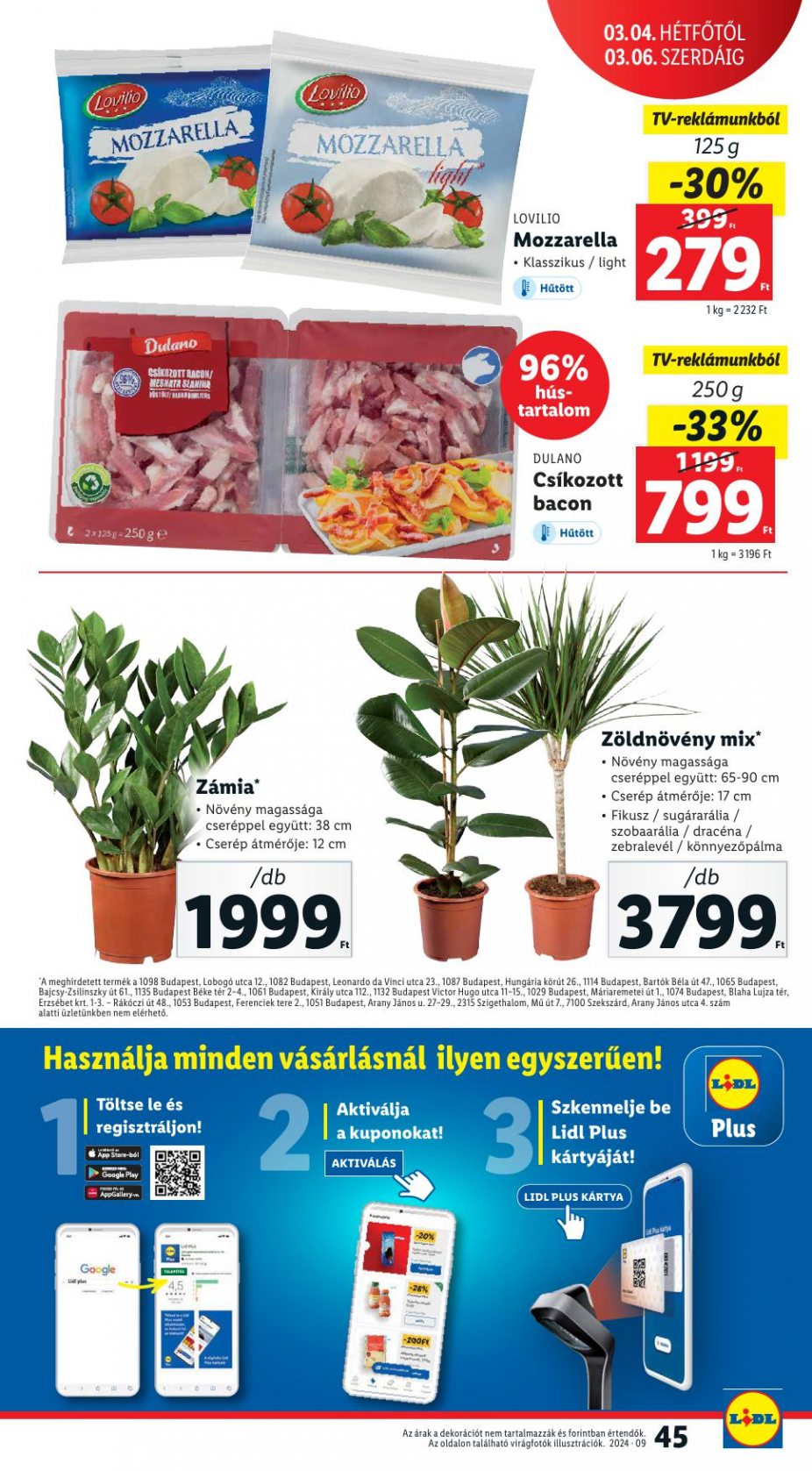 lidl2903-45