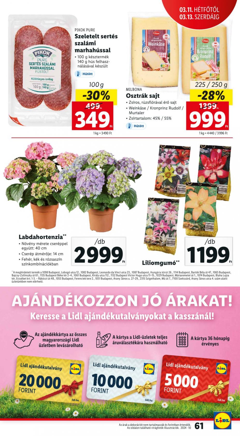 lidl7-13-61