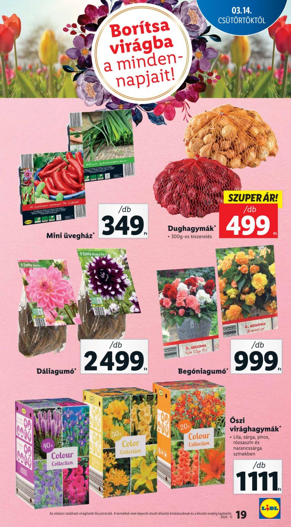 lidl0314-20-19