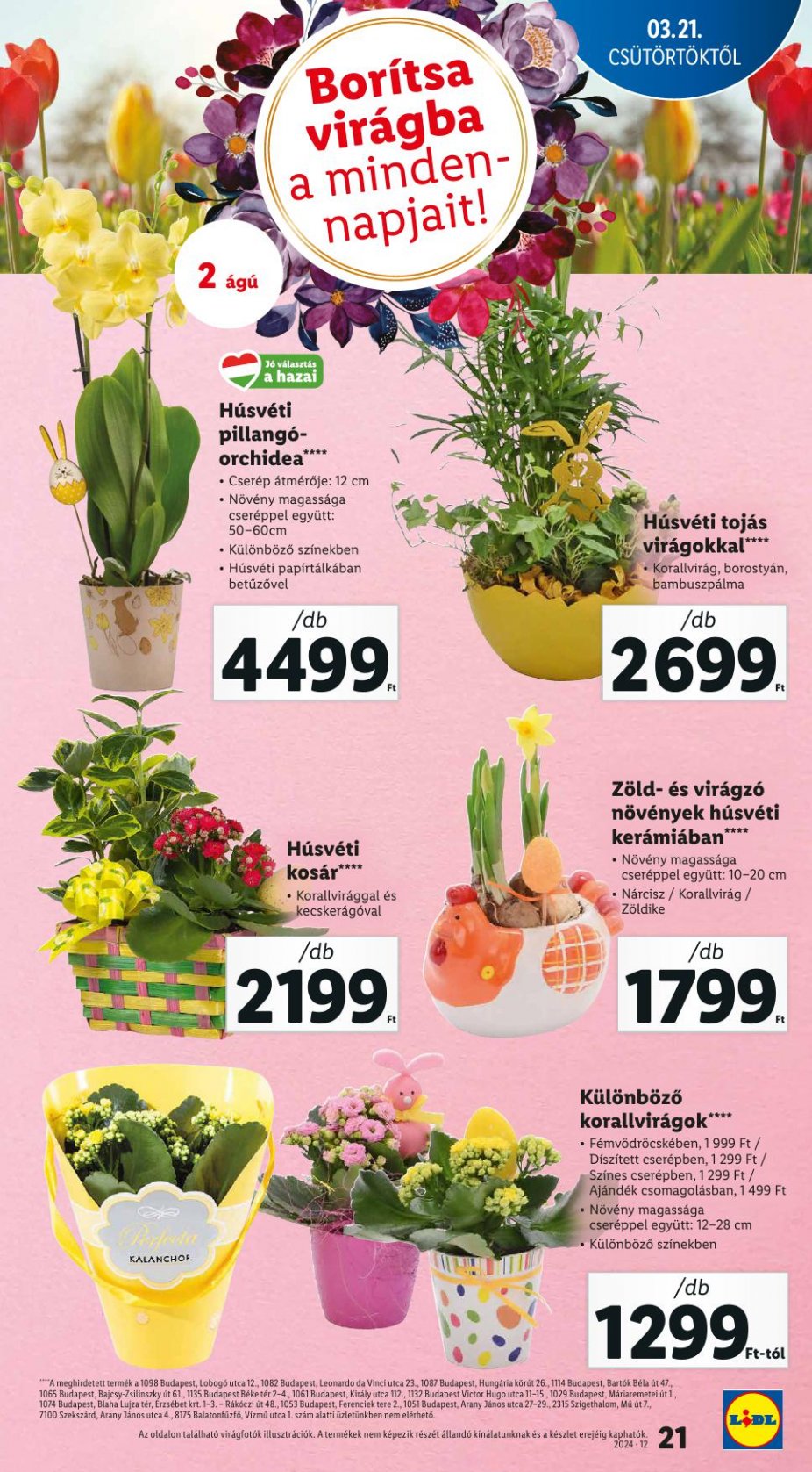 lidl2127-21