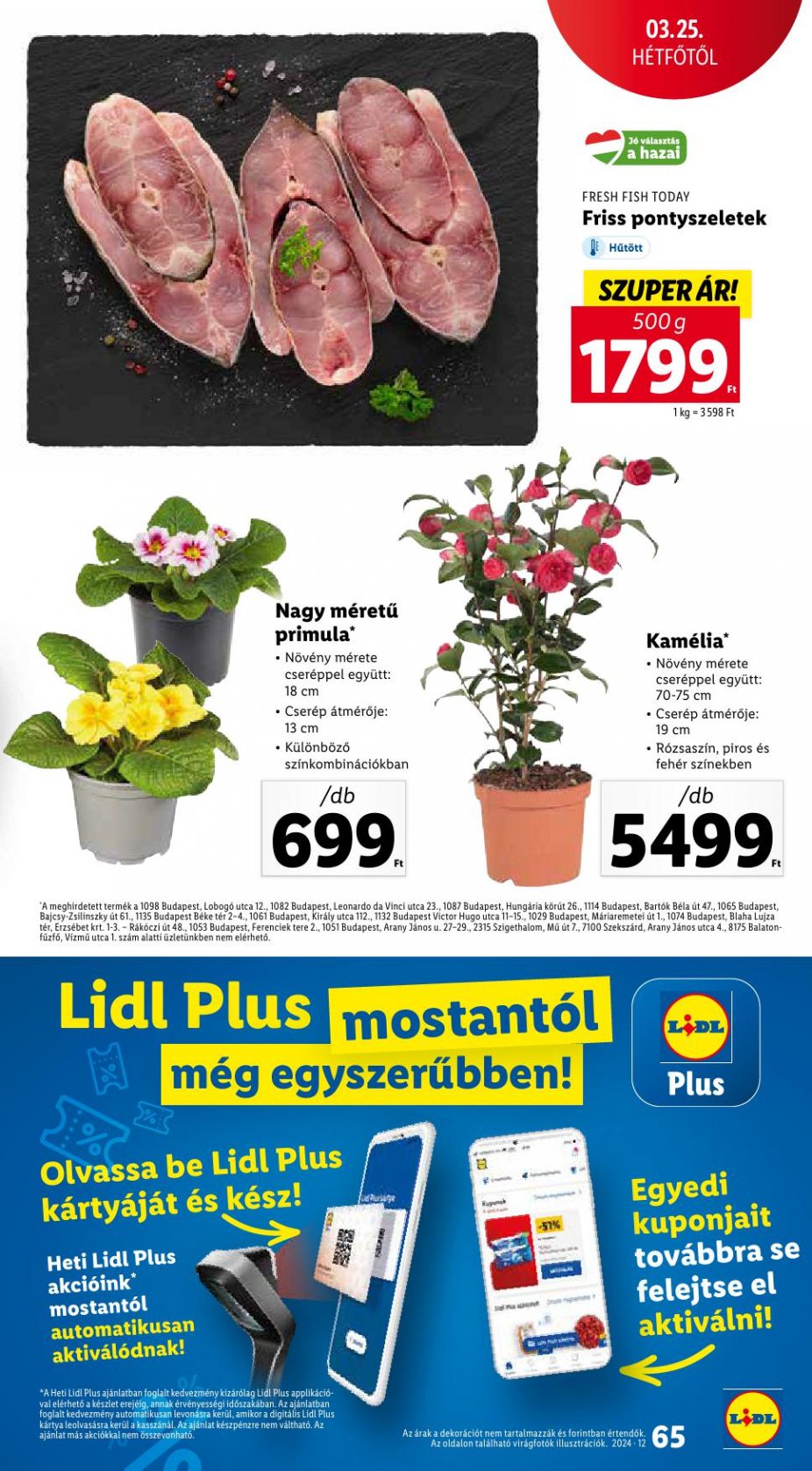 lidl2127-65