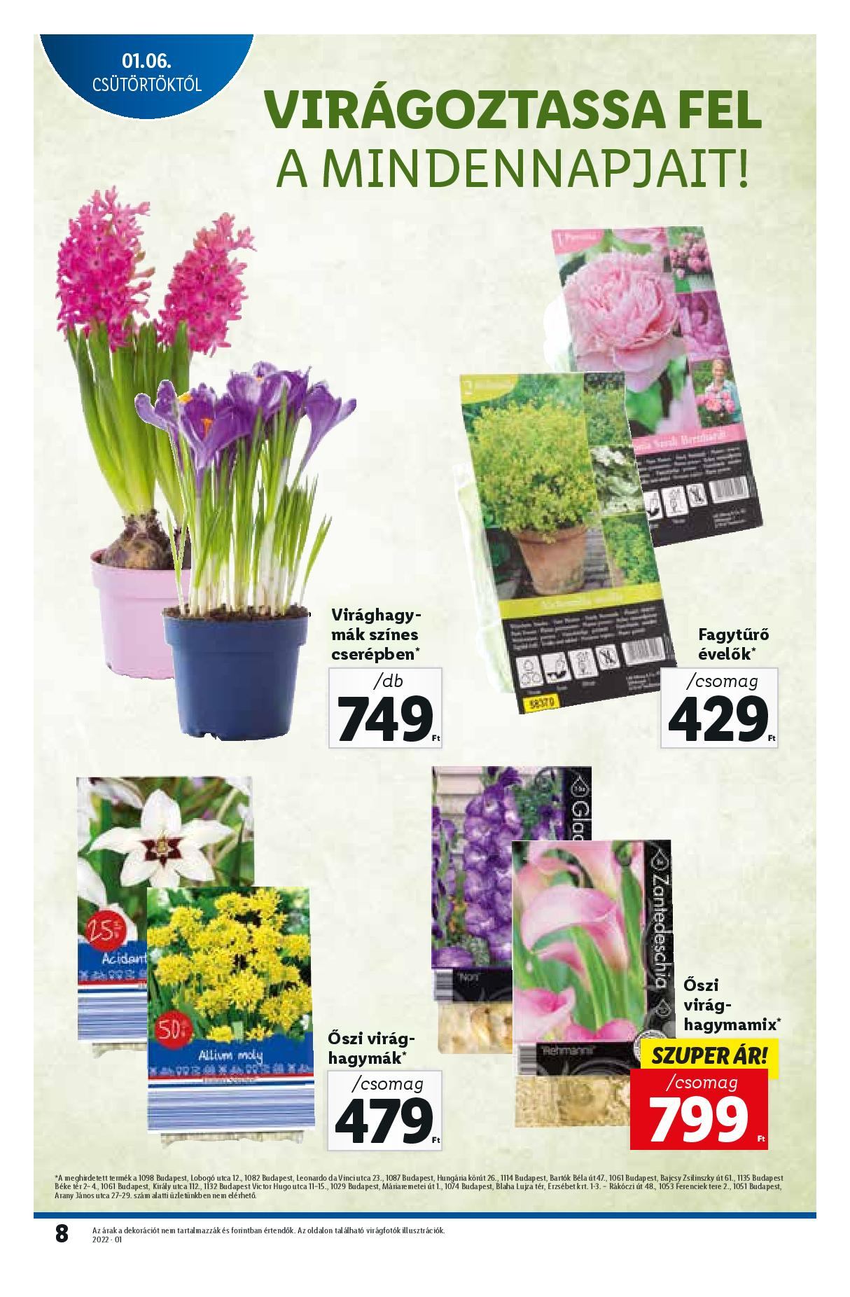 lidl0106-page-008