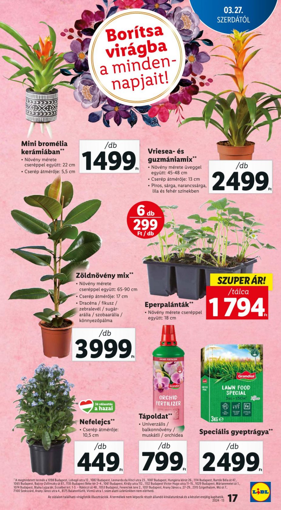 lidl2703-17