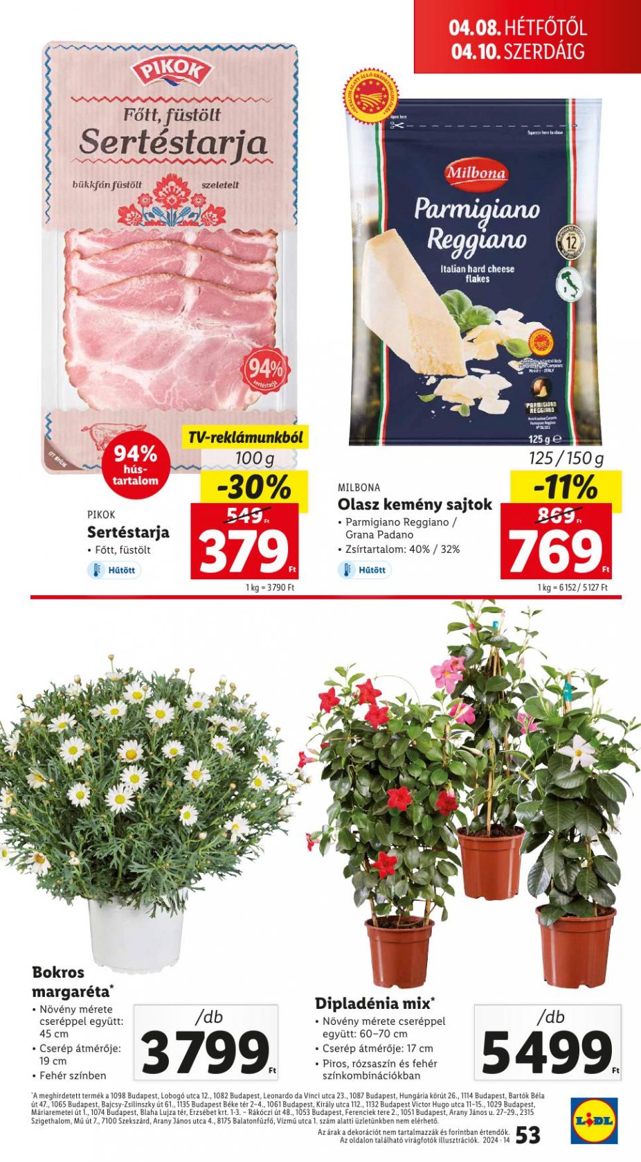 lidl040410-53