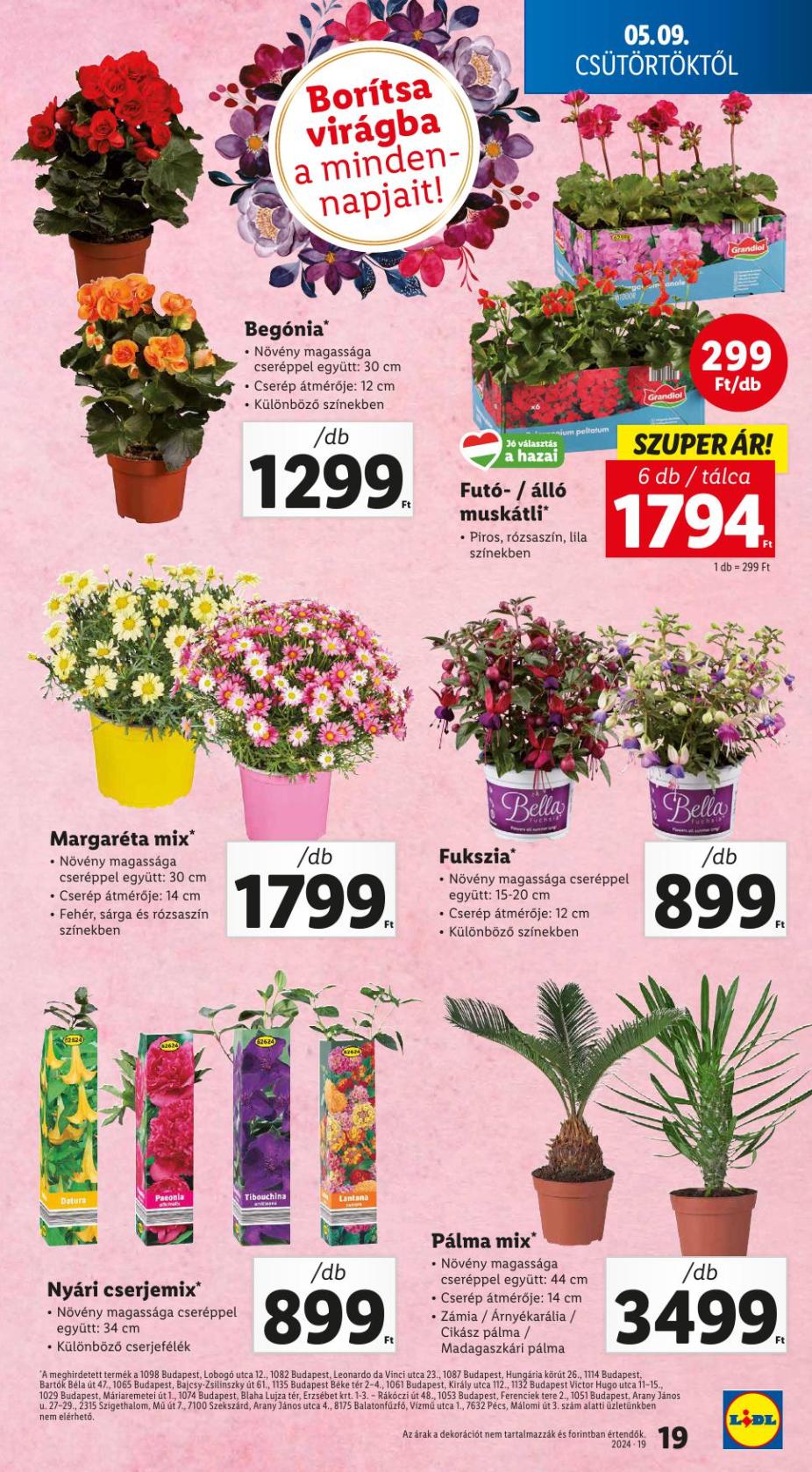 lidl19-19