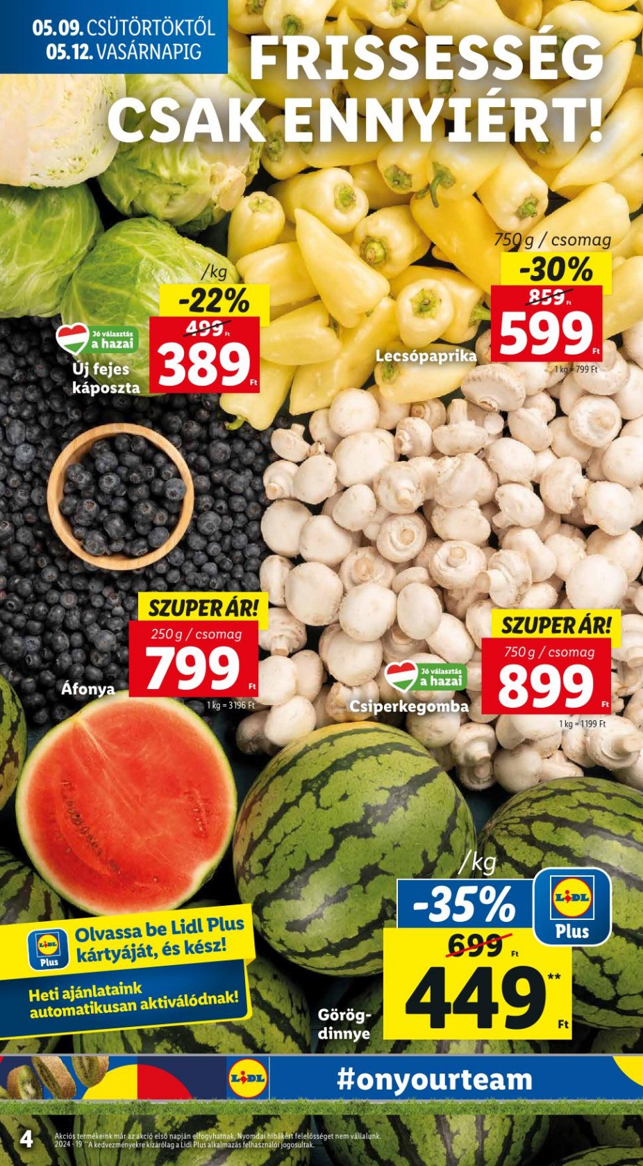 lidl19-4
