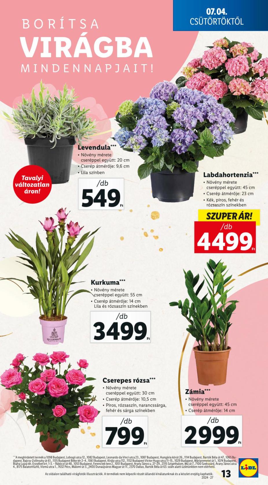 lidl27-13