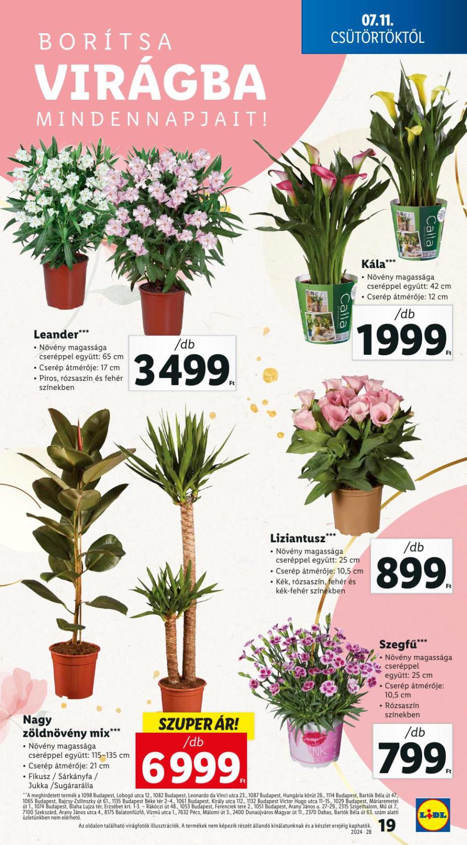lidl28-19
