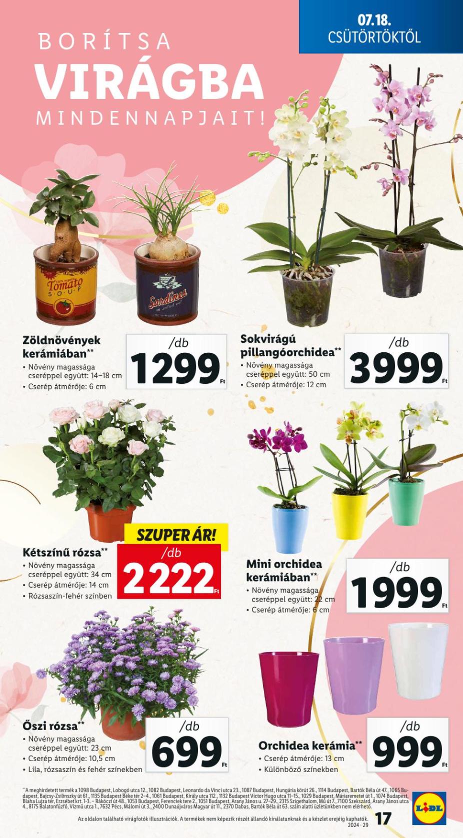 lidl29-17