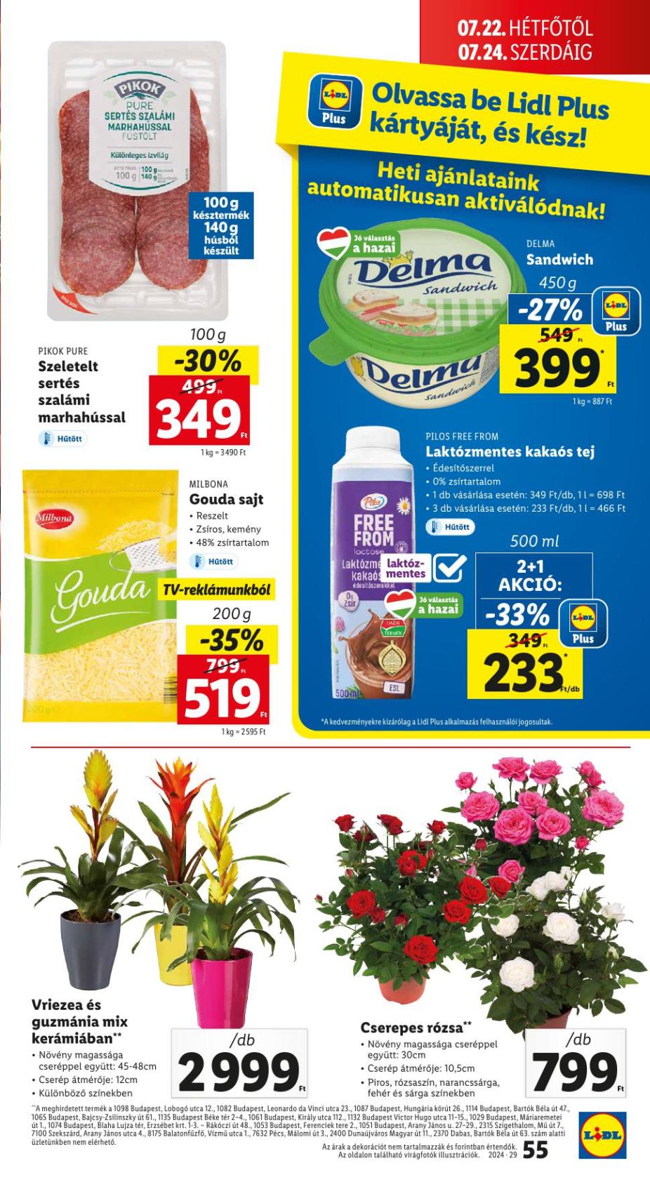 lidl29-55