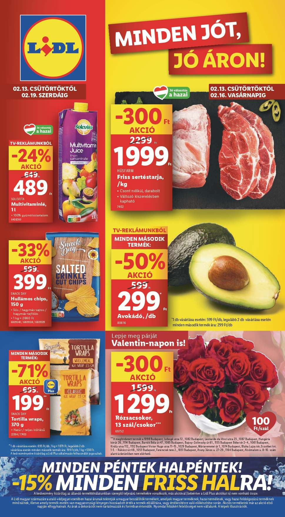 lidlfeb13_page-0001