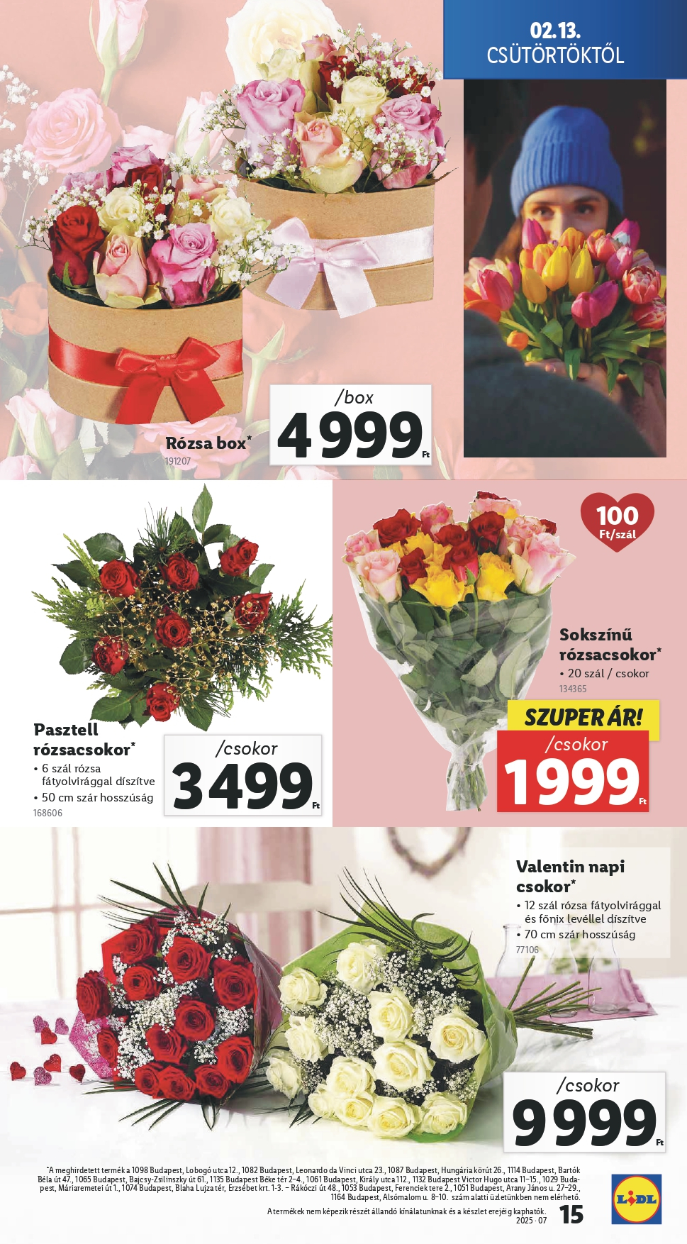 lidlfeb13_page-0015