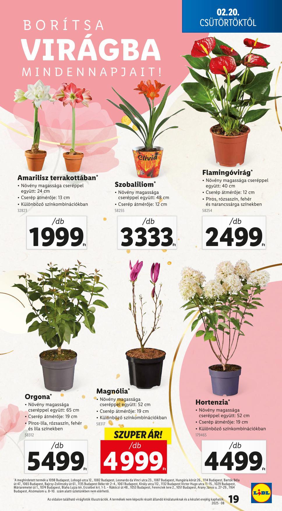 lidl022026-19