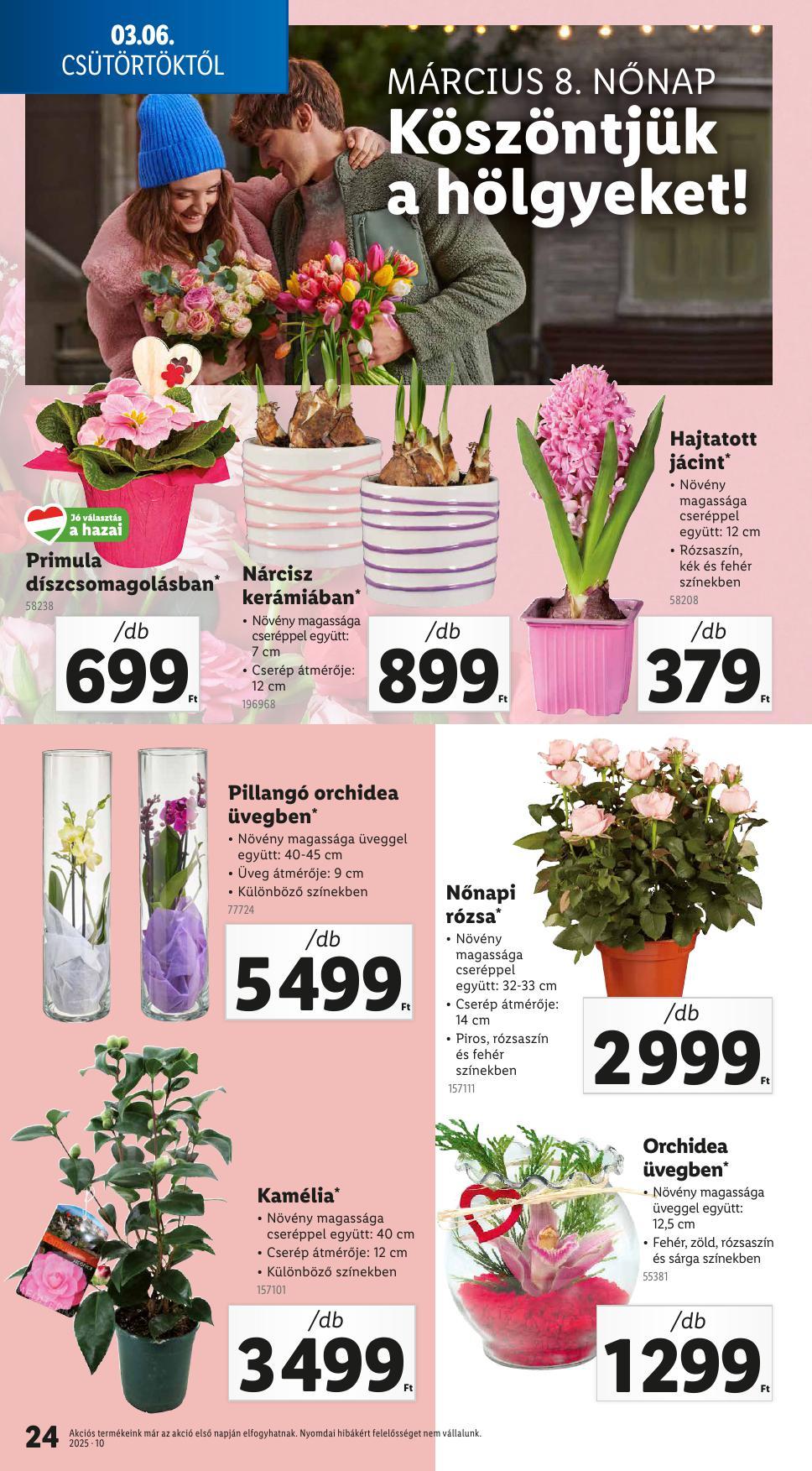 lidl0306-24