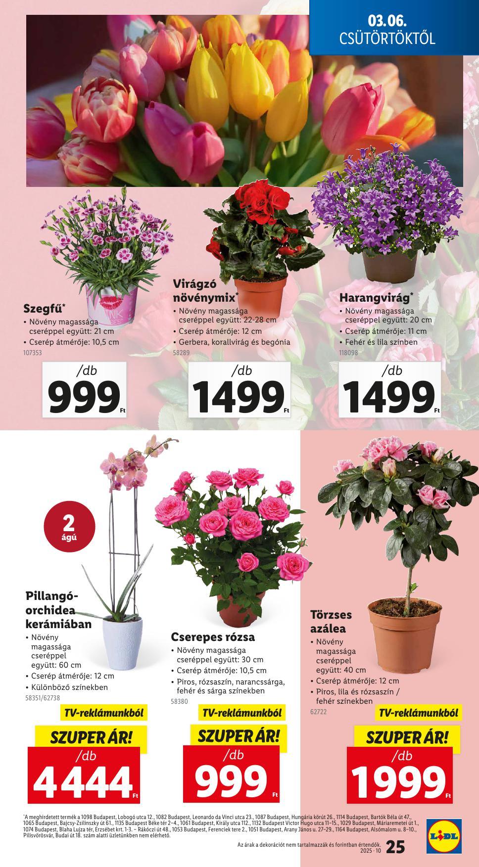 lidl0306-25