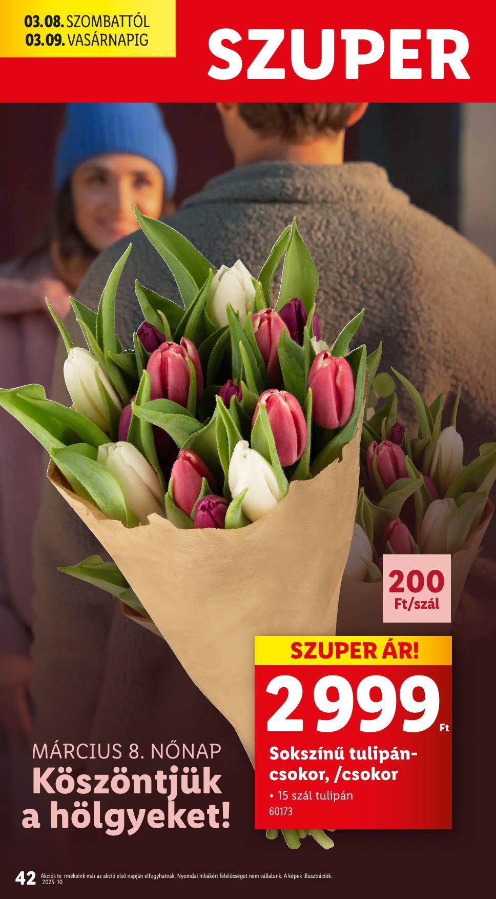 lidl0306-42
