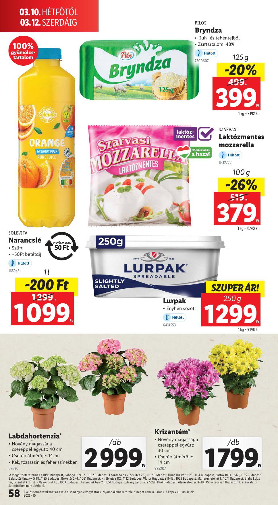 lidl0306-58