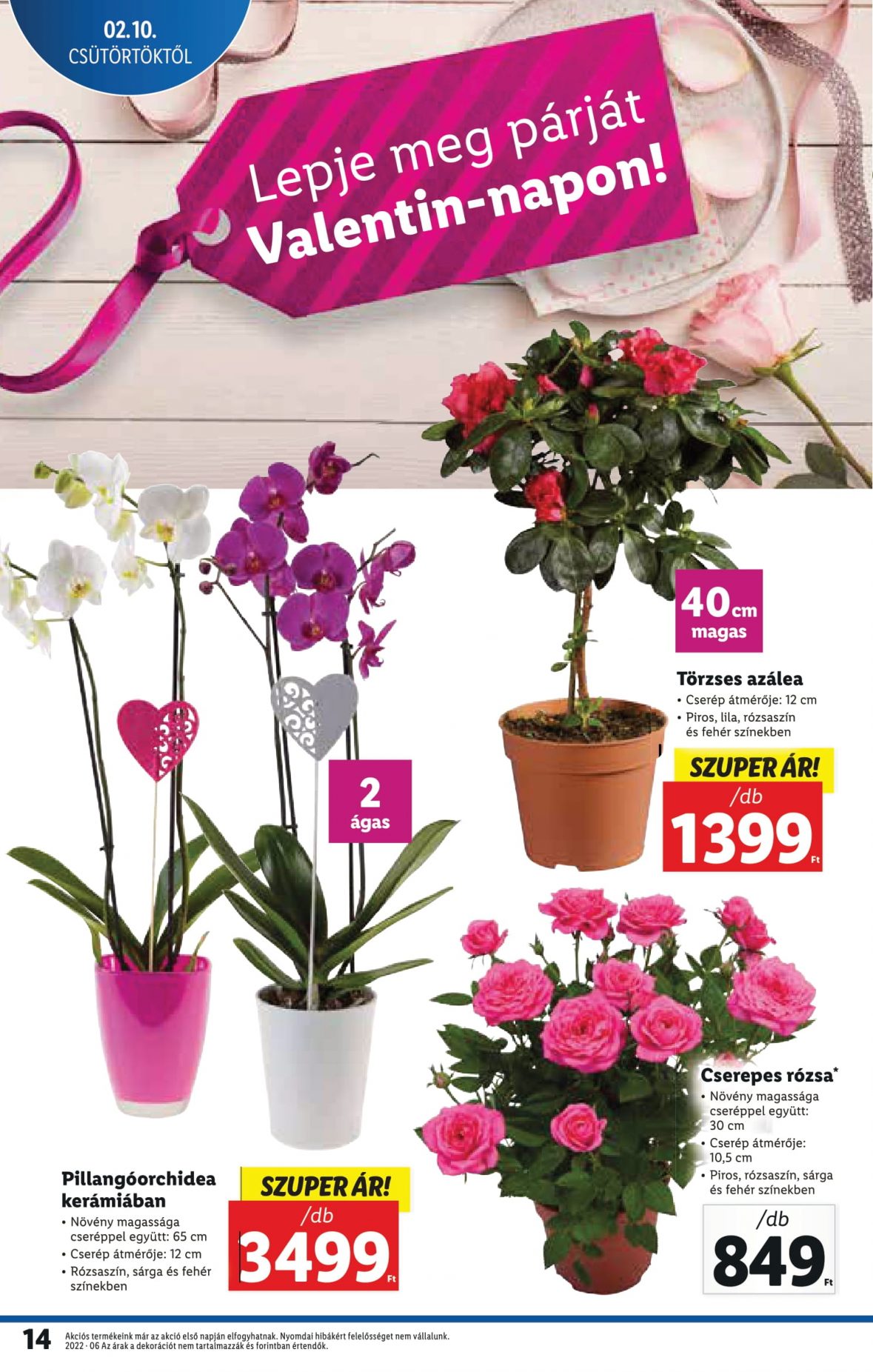 lidl10-16-14