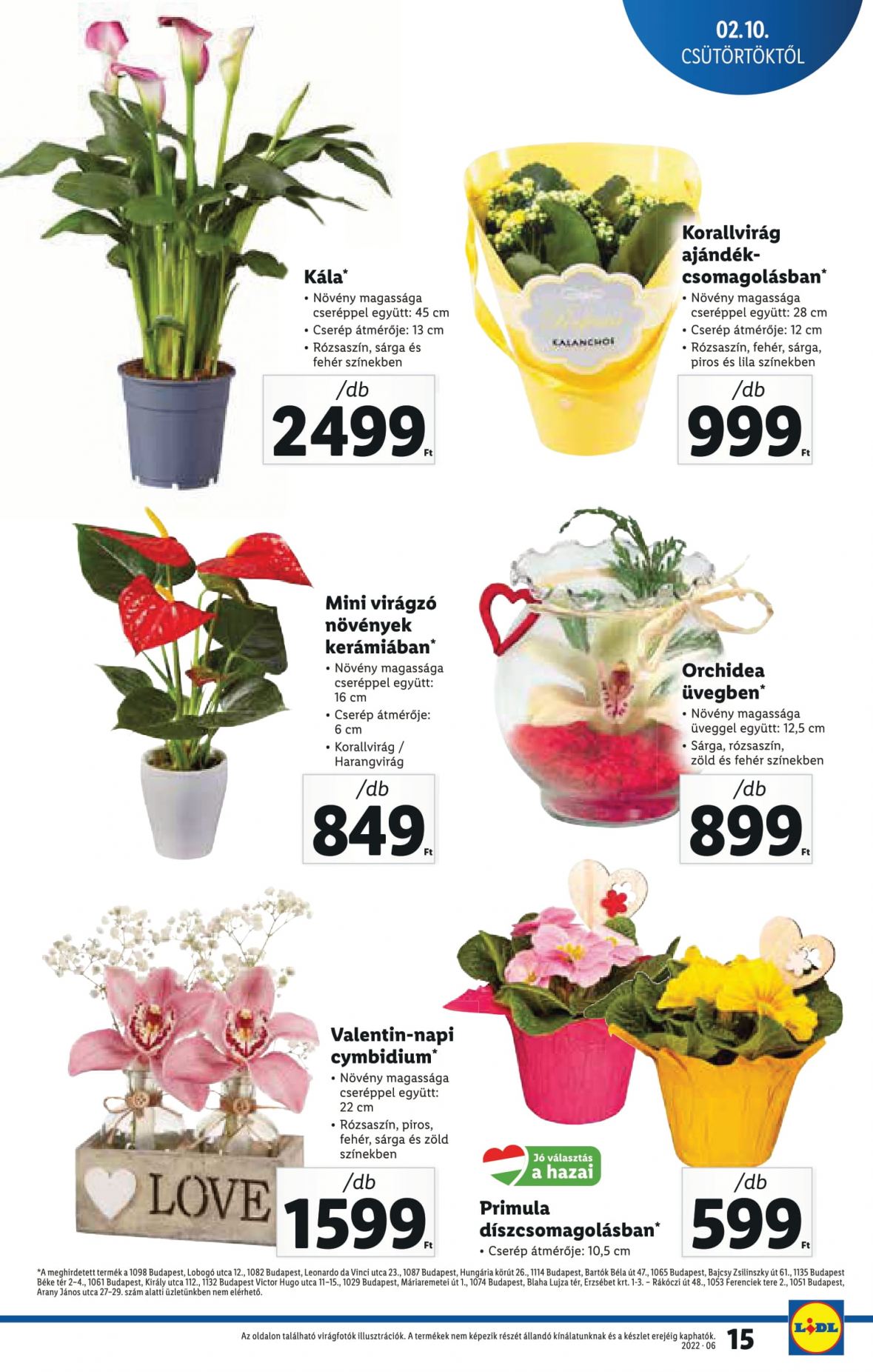 lidl10-16-15