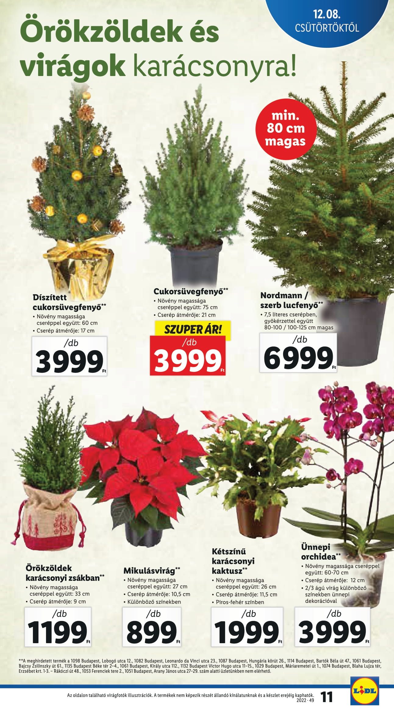 lidl1208-14-11