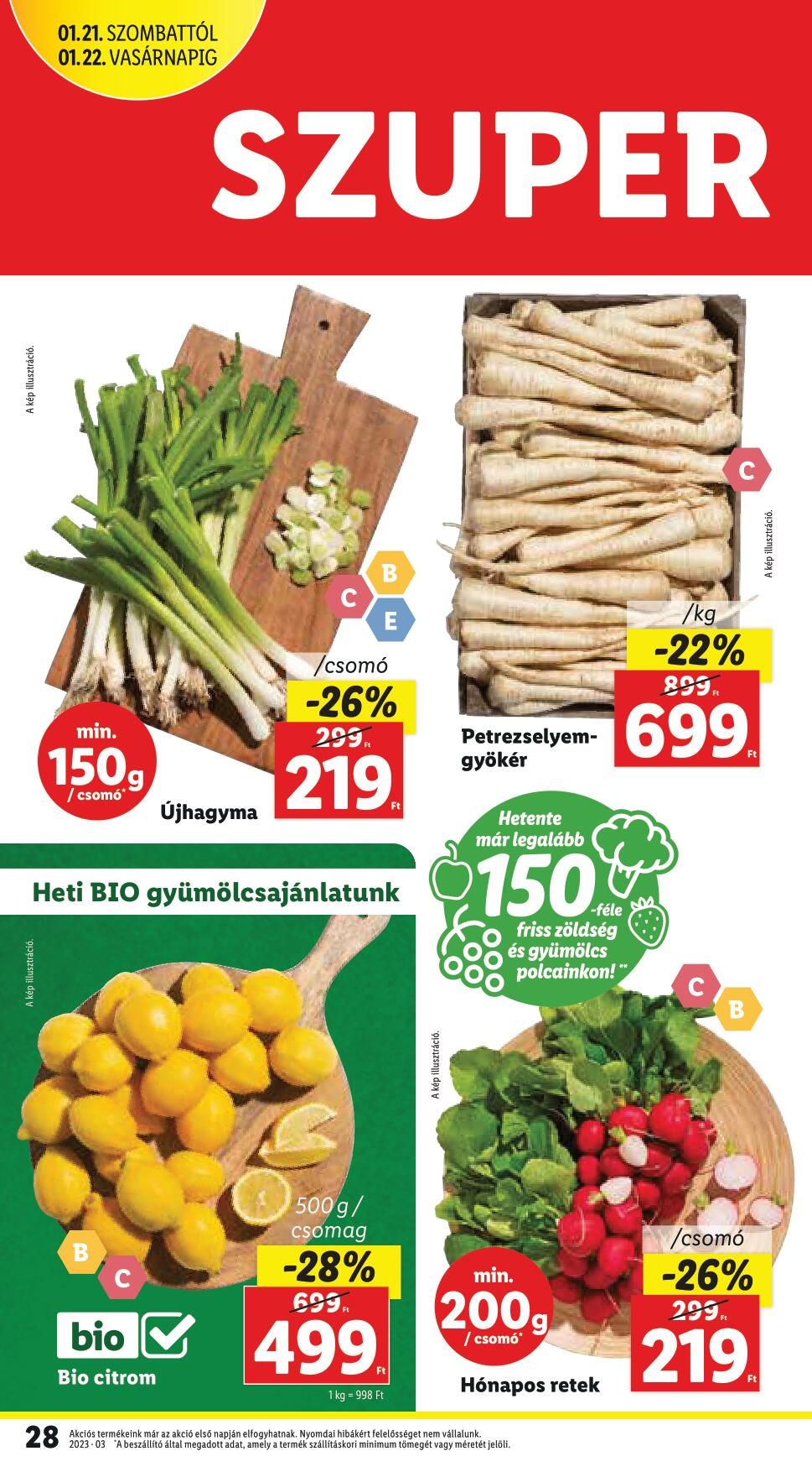 lidl1925-34