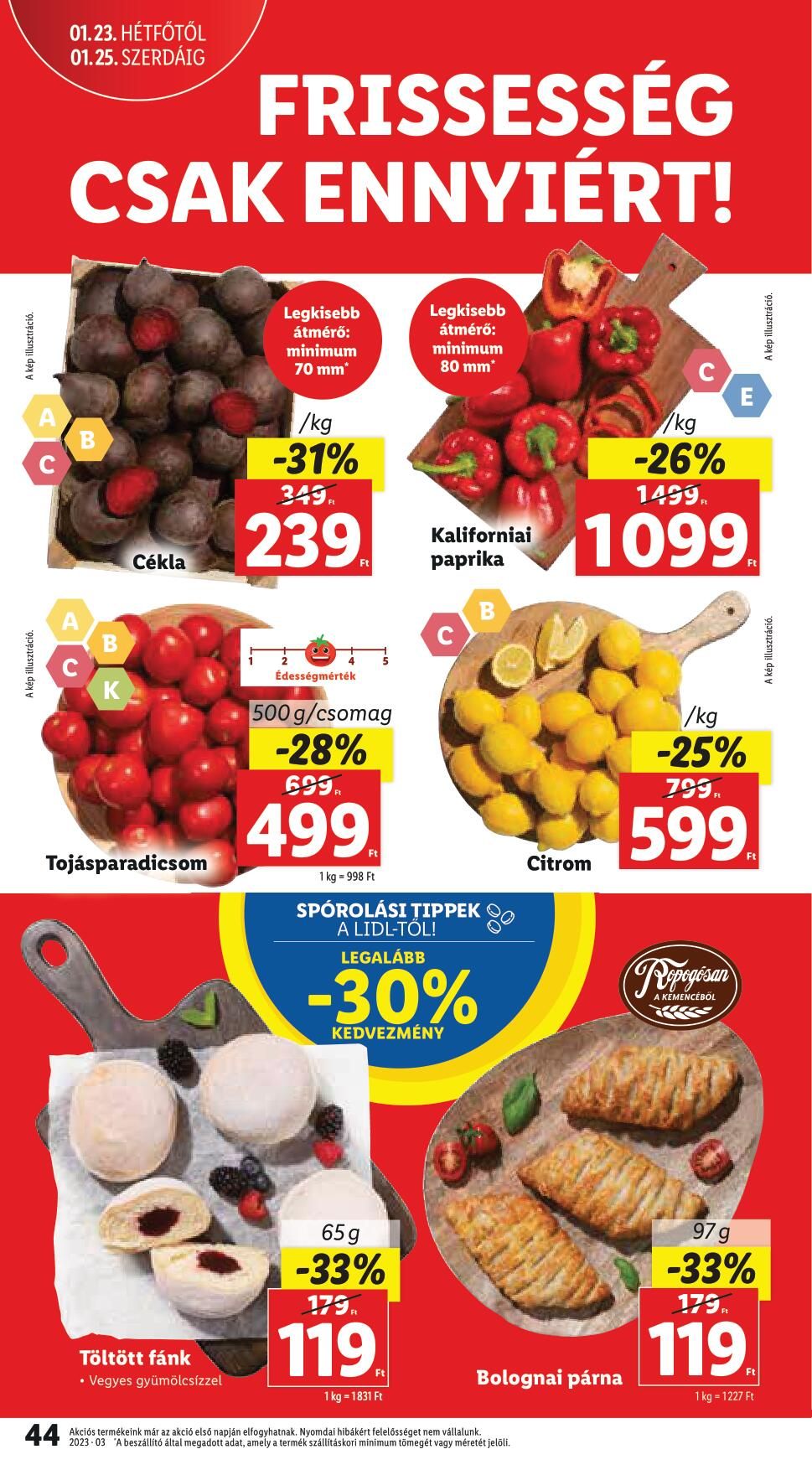lidl1925-46