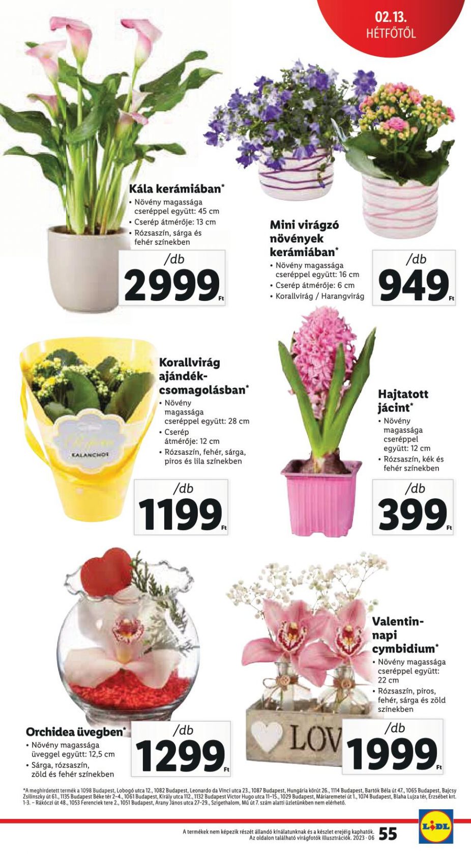 lidl915-55