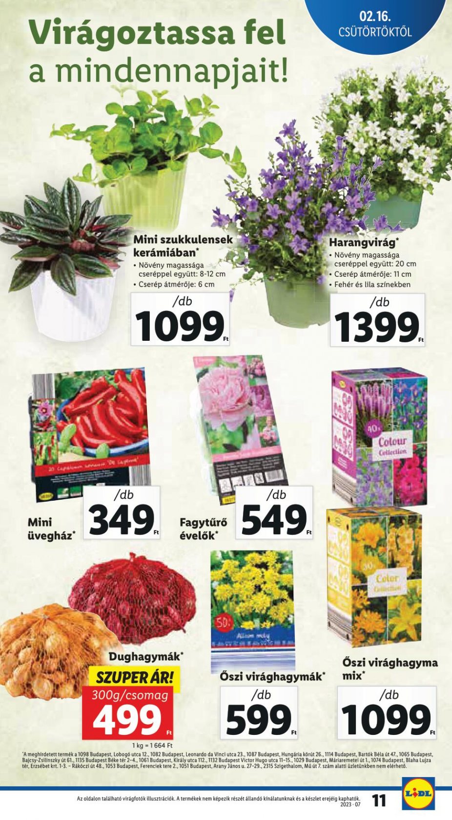 lidl1622-11