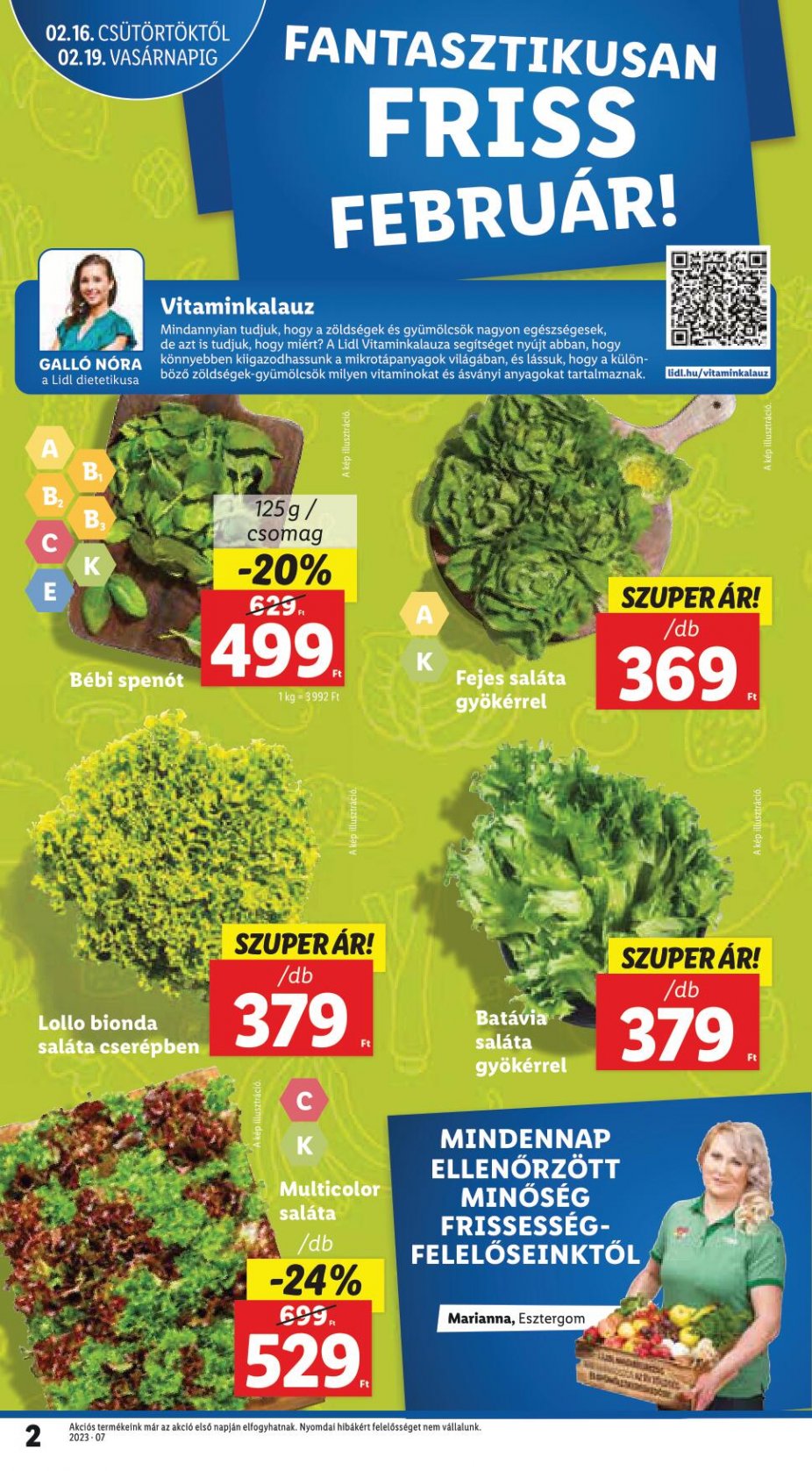 lidl1622-2