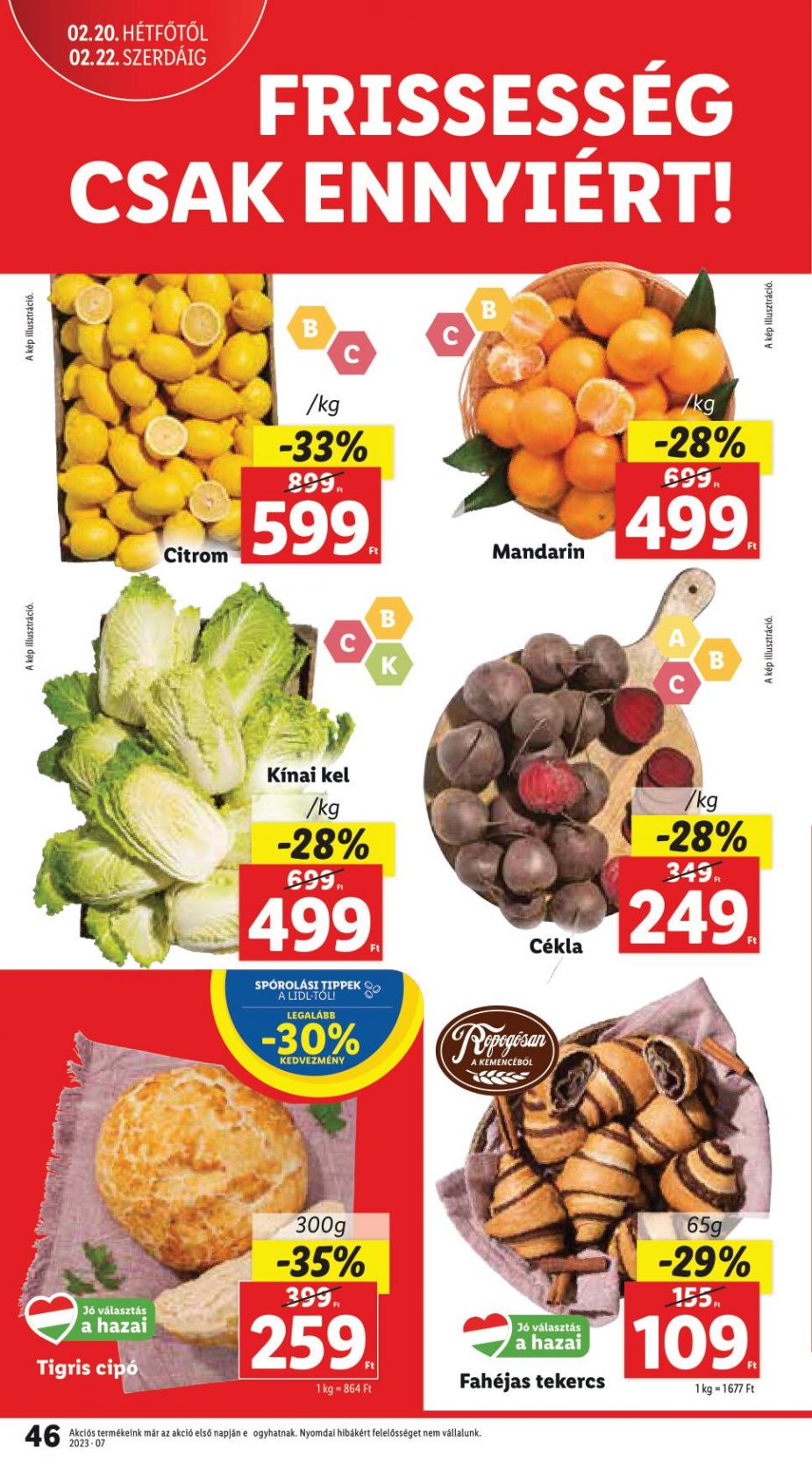 lidl1622-46
