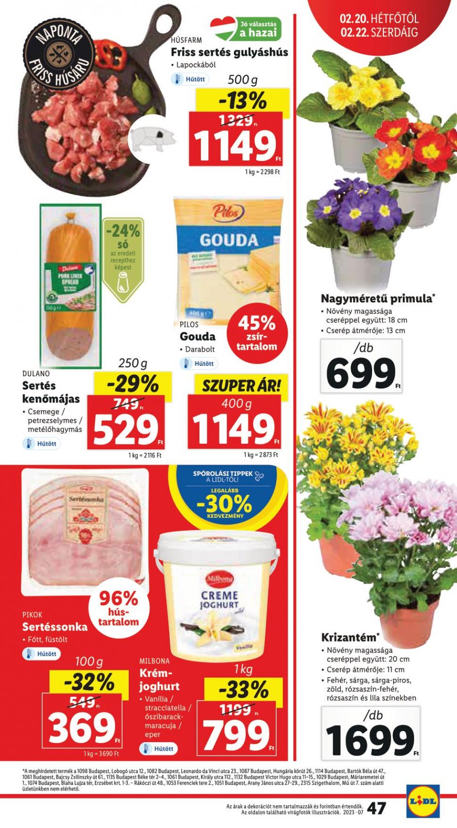 lidl1622-47