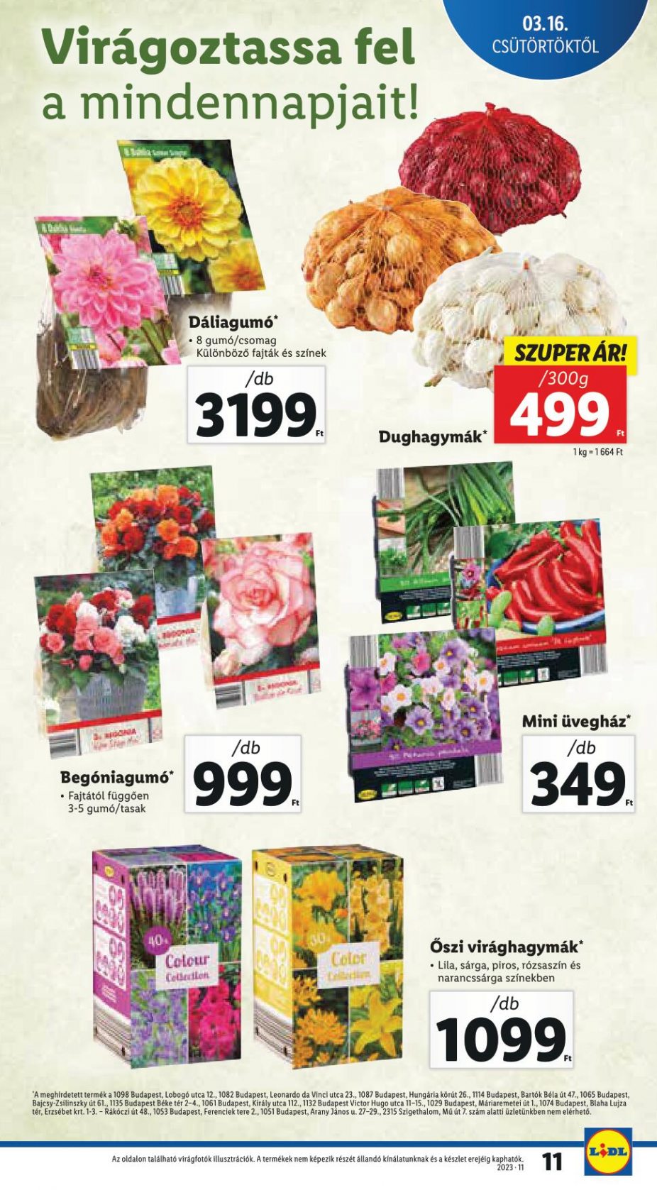 lidl1622-11