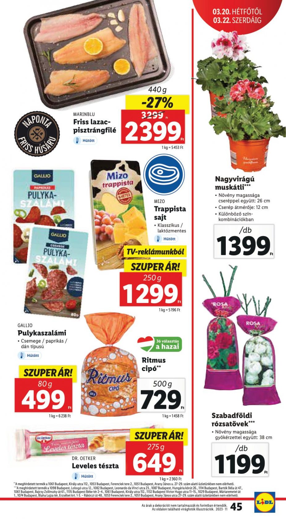 lidl1622-45