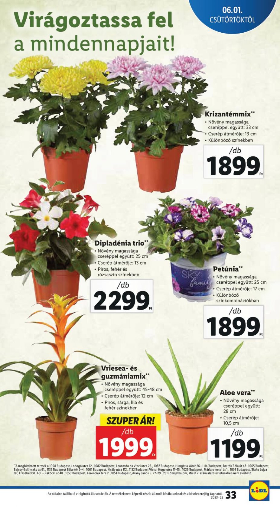 lidl060107-33