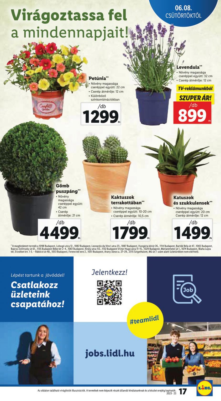lidl814-17