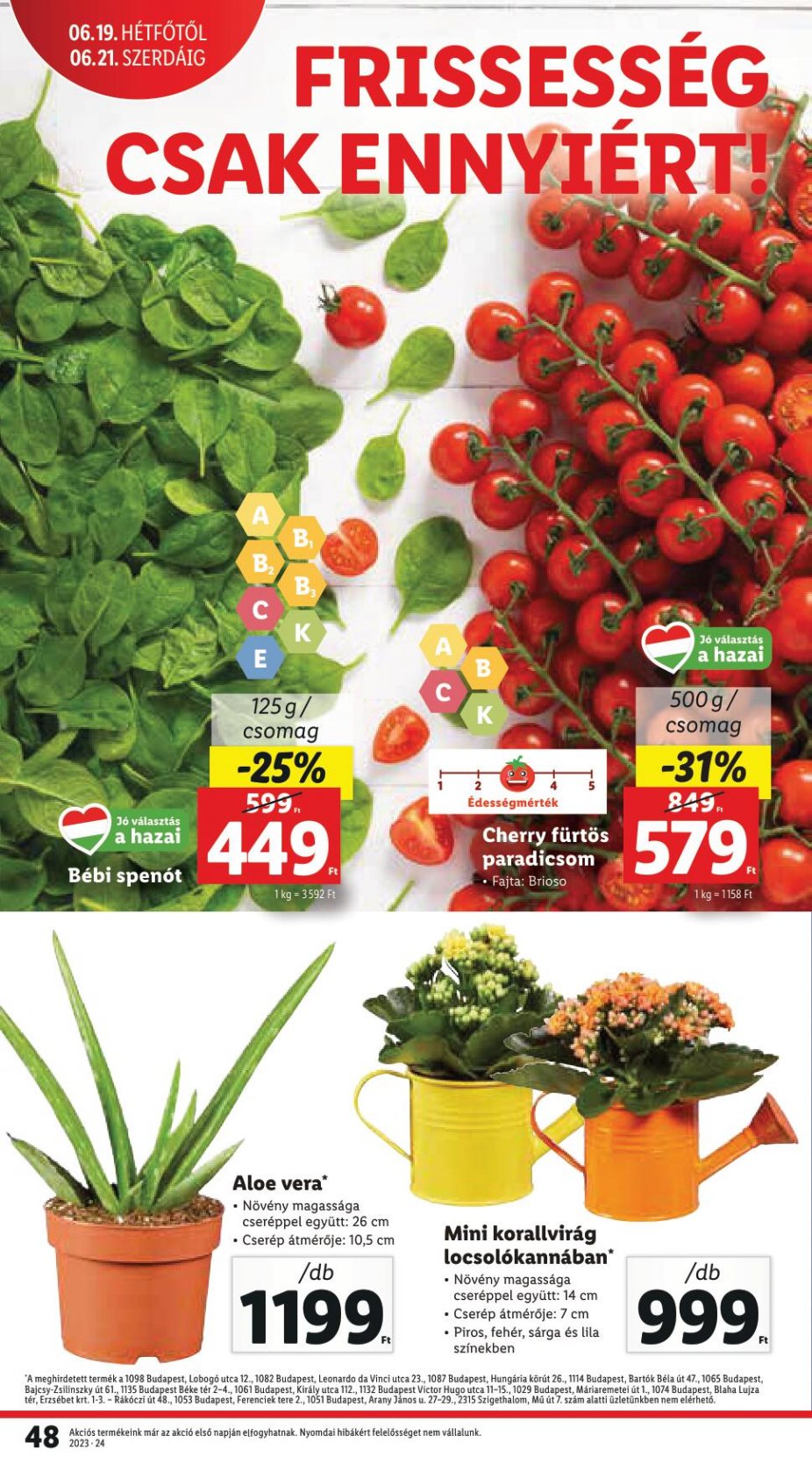 lidl061521-48