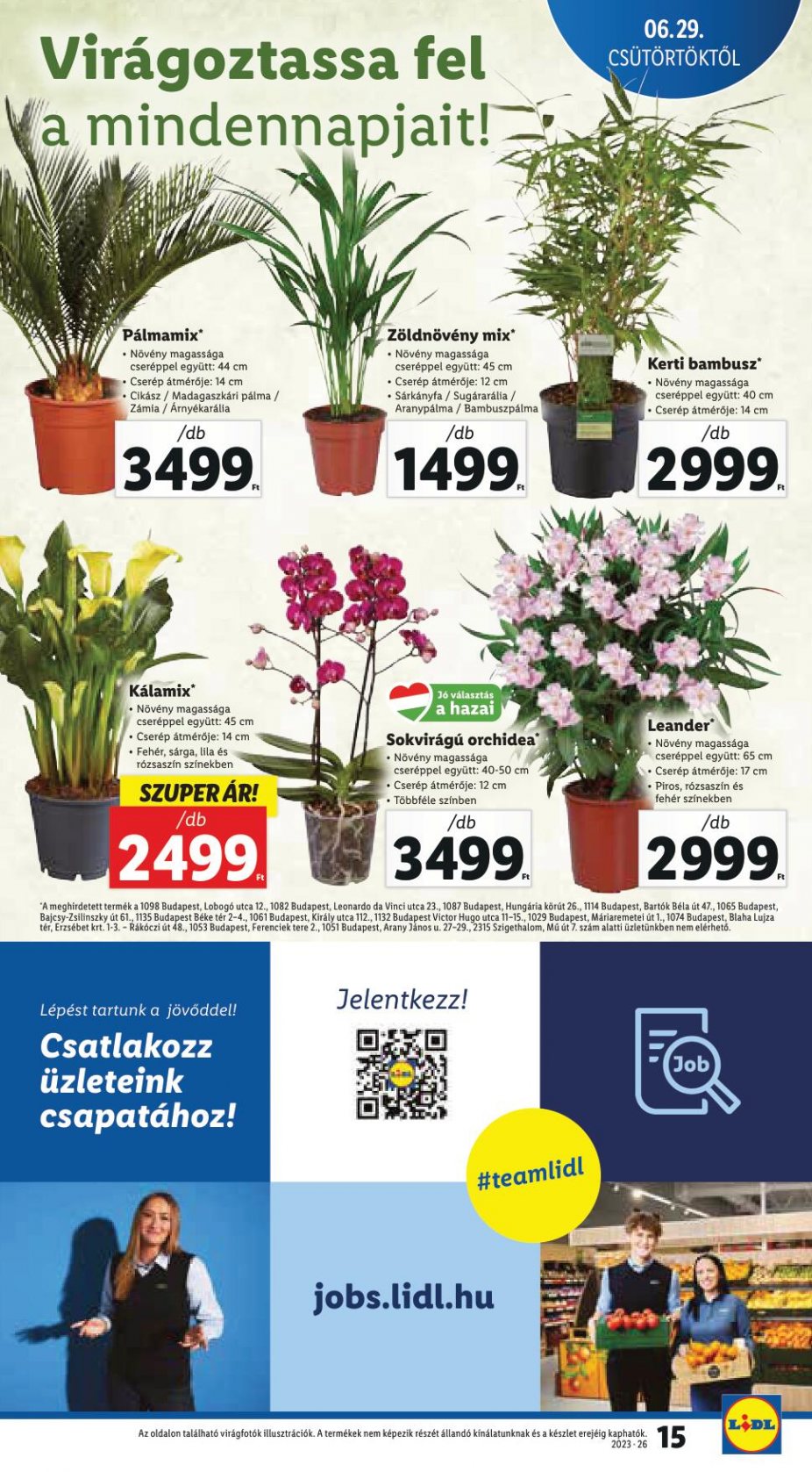 lidl2905-15