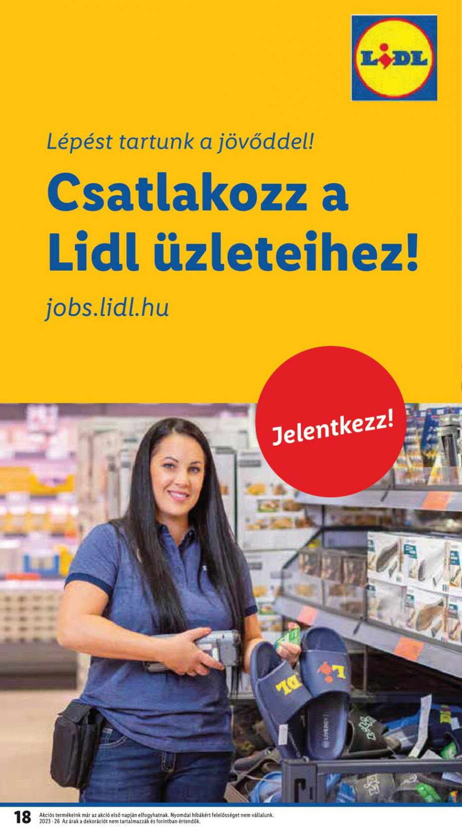 lidl2905-18
